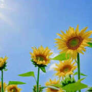 ヒメ日記 2025/08/30 11:42 投稿 あきら 奥鉄オクテツ大阪