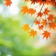 ヒメ日記 2025/09/21 18:46 投稿 あきら 奥鉄オクテツ大阪