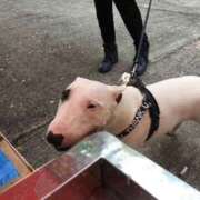 ヒメ日記 2025/10/26 17:31 投稿 あきら 奥鉄オクテツ大阪