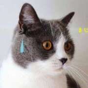 ヒメ日記 2025/11/16 12:43 投稿 あきら 奥鉄オクテツ大阪