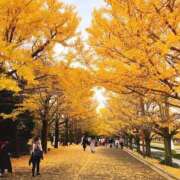 あきら 先ほど♡ 奥鉄オクテツ大阪