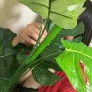 ヒメ日記 2025/04/04 18:56 投稿 荒木 熟女の風俗最終章 新横浜店