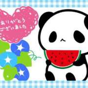 ヒメ日記 2025/08/02 00:22 投稿 三坂ゆとり 五十路マダムエクスプレス豊橋店（カサブランカグループ）