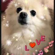 ヒメ日記 2024/12/19 00:38 投稿 かんな 奥様の実話 なんば店