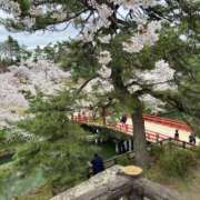 ヒメ日記 2025/04/27 09:20 投稿 こと どMばすたーず すすきの店