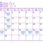 ヒメ日記 2025/06/06 21:31 投稿 こと どMばすたーず すすきの店