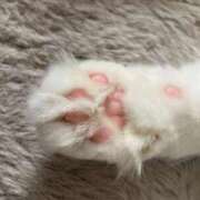 ヒメ日記 2025/08/11 13:22 投稿 こと どMばすたーず すすきの店