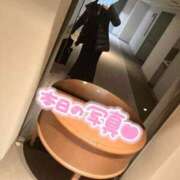 ヒメ日記 2026/01/28 02:59 投稿 こと どMばすたーず すすきの店