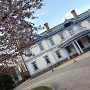 こと 春ですね どMばすたーず すすきの店