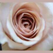 ヒメ日記 2025/12/09 07:11 投稿 もも 奥様の実話 なんば店