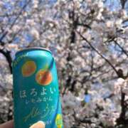 ヒメ日記 2026/03/28 17:55 投稿 ゆずき 乳首愛撫専門店「五反田シルキータッチ」