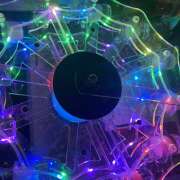 ヒメ日記 2025/02/11 11:54 投稿 るる 神田エマニエル