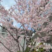 ヒメ日記 2025/03/31 12:41 投稿 るる 神田エマニエル