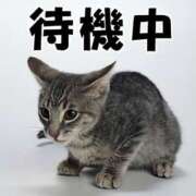 ヒメ日記 2025/04/17 19:51 投稿 るる 神田エマニエル