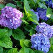 ヒメ日記 2025/06/13 14:39 投稿 るる 神田エマニエル