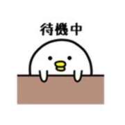 ヒメ日記 2025/08/04 18:27 投稿 るる 神田エマニエル