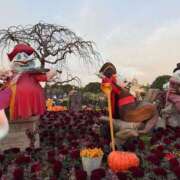 ヒメ日記 2025/10/30 10:19 投稿 るる 神田エマニエル