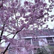 ヒメ日記 2026/03/27 09:06 投稿 るる 神田エマニエル