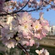 ヒメ日記 2026/03/31 09:47 投稿 るる 神田エマニエル