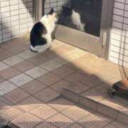 ヒメ日記 2025/04/30 12:28 投稿 かえで 東京妻