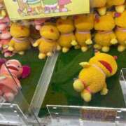 ヒメ日記 2025/05/05 14:28 投稿 かえで 東京妻