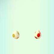 ヒメ日記 2025/06/04 10:10 投稿 かえで 東京妻