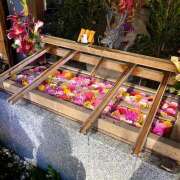 ヒメ日記 2025/02/17 10:01 投稿 あいり Queen Angel(クイーンエンジェル)