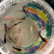 ヒメ日記 2025/02/28 09:30 投稿 あいり Queen Angel(クイーンエンジェル)