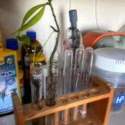 ヒメ日記 2025/03/03 09:54 投稿 あいり Queen Angel(クイーンエンジェル)