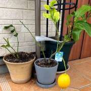 ヒメ日記 2025/04/29 09:39 投稿 あいり Queen Angel(クイーンエンジェル)