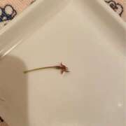 ヒメ日記 2025/05/02 09:24 投稿 あいり Queen Angel(クイーンエンジェル)