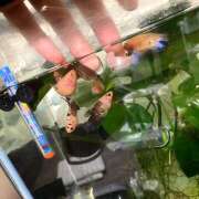 ヒメ日記 2025/05/22 09:18 投稿 あいり Queen Angel(クイーンエンジェル)