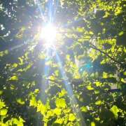 ヒメ日記 2025/05/27 09:42 投稿 あいり Queen Angel(クイーンエンジェル)