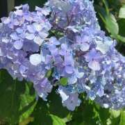 ヒメ日記 2025/07/04 09:11 投稿 あいり Queen Angel(クイーンエンジェル)