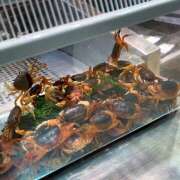 ヒメ日記 2025/07/18 12:05 投稿 あいり Queen Angel(クイーンエンジェル)