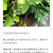 ヒメ日記 2025/08/11 09:34 投稿 あいり Queen Angel(クイーンエンジェル)