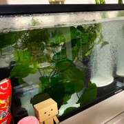 ヒメ日記 2025/08/14 10:06 投稿 あいり Queen Angel(クイーンエンジェル)