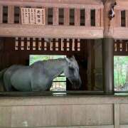 ヒメ日記 2025/08/28 09:27 投稿 あいり Queen Angel(クイーンエンジェル)