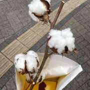 ヒメ日記 2025/10/14 17:17 投稿 あいり Queen Angel(クイーンエンジェル)