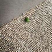 ヒメ日記 2025/11/28 09:28 投稿 あいり Queen Angel(クイーンエンジェル)