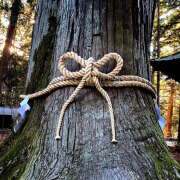 ヒメ日記 2026/01/05 08:19 投稿 あいり Queen Angel(クイーンエンジェル)