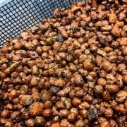 あいり 【本日出勤】（再掲）いちごがぁっ Queen Angel(クイーンエンジェル)