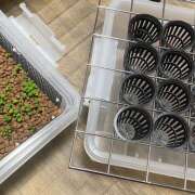 あいり 【本日出勤】苺セレクション Queen Angel(クイーンエンジェル)