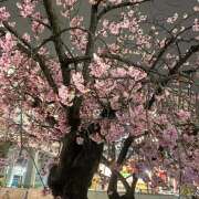 ヒメ日記 2026/03/06 09:28 投稿 あいり Queen Angel(クイーンエンジェル)