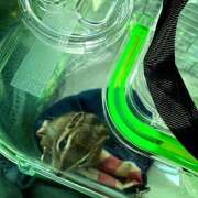 ヒメ日記 2026/06/15 09:28 投稿 あいり Queen Angel(クイーンエンジェル)