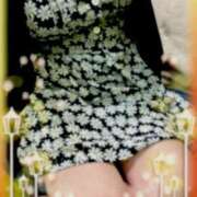 ヒメ日記 2025/08/24 14:58 投稿 山田まゆ 五十路マダム宇都宮店(カサブランカグループ)