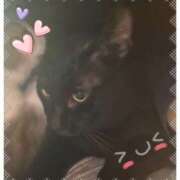 ヒメ日記 2025/10/03 16:42 投稿 山田まゆ 五十路マダム宇都宮店(カサブランカグループ)