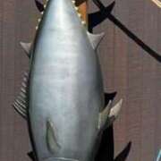 ヒメ日記 2025/11/26 16:08 投稿 山田まゆ 五十路マダム宇都宮店(カサブランカグループ)