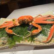 Rena 下に３月の予定? CELEB（セレブ）