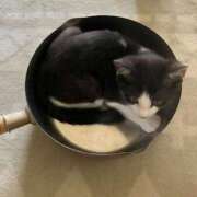 ヒメ日記 2025/07/08 18:28 投稿 東条(とうじょう) 熟女の風俗最終章 大宮店